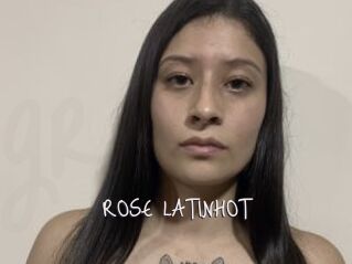 ROSE_LATINHOT