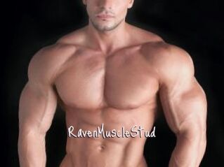 RavenMuscleStud