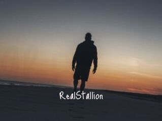 RealStallion