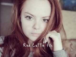Red_Cuttie_Fox