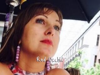 Red_Orchid