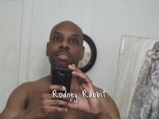 Rodney_Rabbit