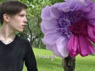 Rodrigie