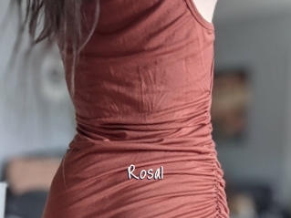Rosa1