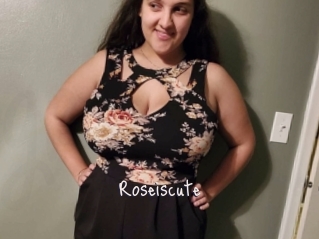 Roseiscute