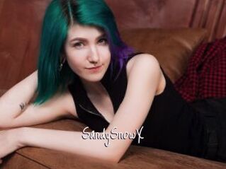 SandySnowX