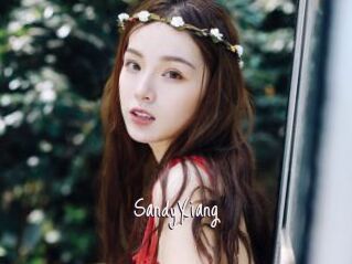 SandyXiang