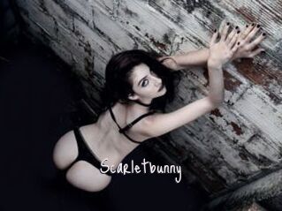 Scarletbunny