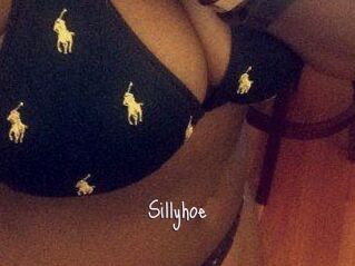 Sillyhoe