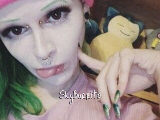 SkyBurrito