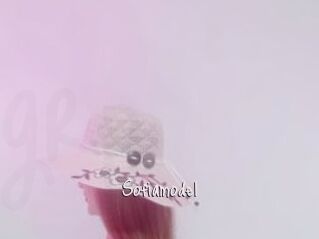 Sofiamodel