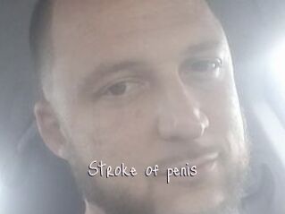 Stroke_of_penis