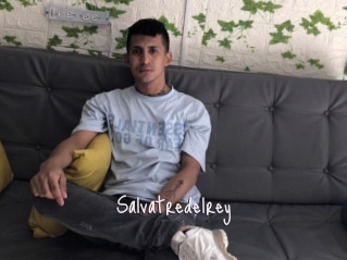 Salvatredelrey