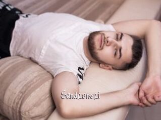 Sandroneri