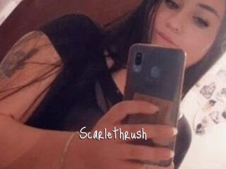 Scarlethrush