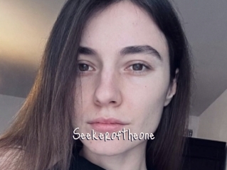 Seekeroftheone