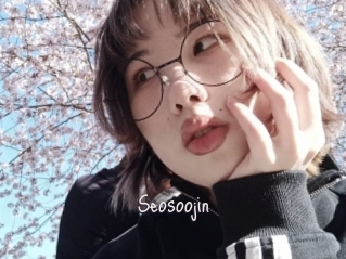 Seosoojin