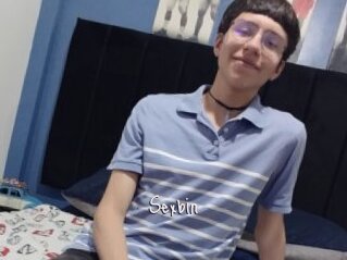 Sexbin