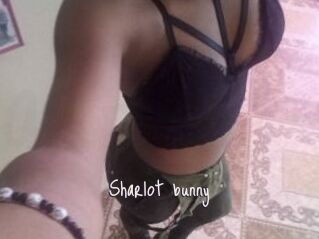 Sharlot_bunny