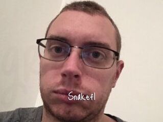 Snakefl