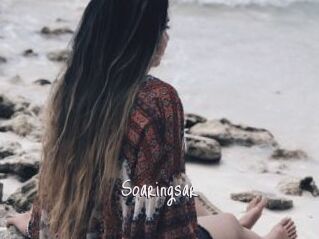 Soaringsar