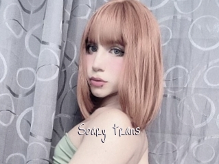 Soary_trans
