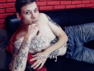 Sonicfrey