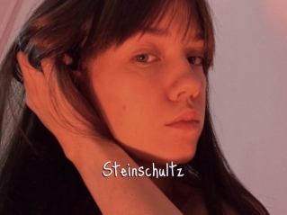 Steinschultz