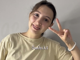 Suehicks