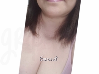 Suzecat