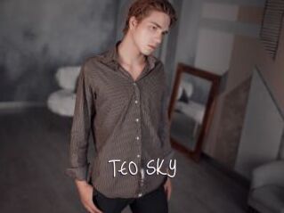 TEO_SKY