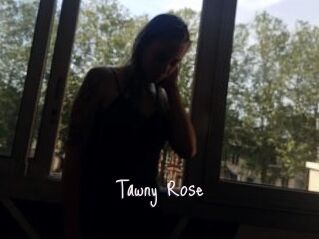 Tawny_Rose