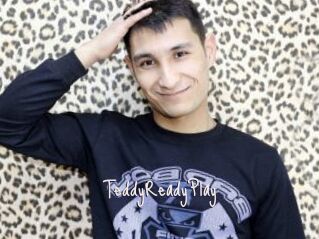 TeddyReadyPlay