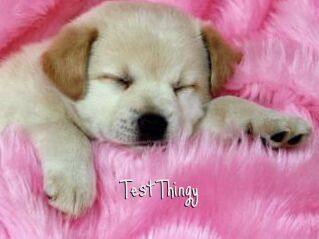TestThingy