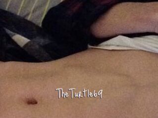 TheTurtle69