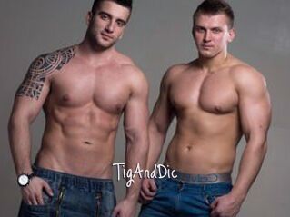 TigAndDic
