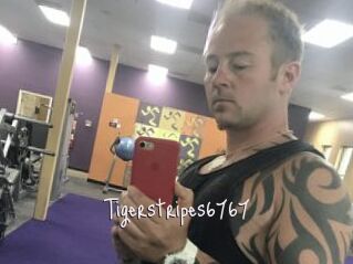 Tigerstripes6767