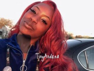 TinyAndrea