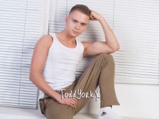ToddYorkX