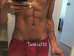 Twinkcut22