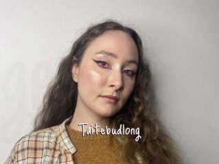 Taitebudlong
