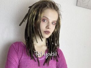 Taitegodsil