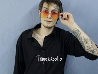 Tamerapollo