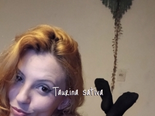 Taurina_sativa