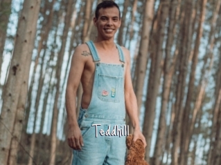 Teddhill