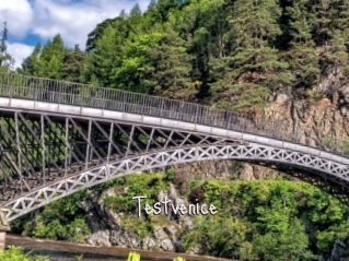Testvenice