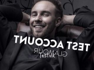 Testvik