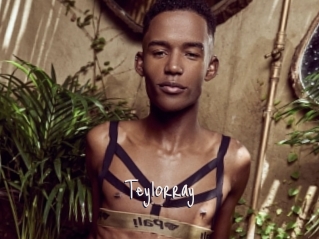 Teylorray