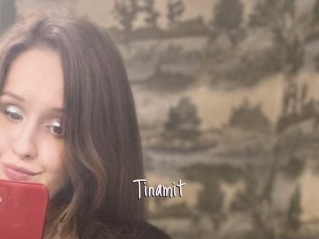 Tinamit
