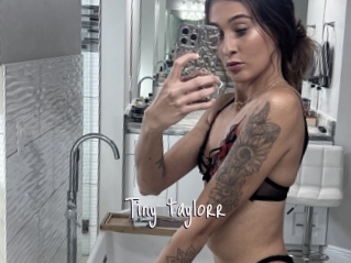 Tiny_taylorr